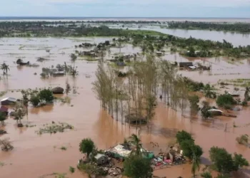 Flood hits another Adamawa community, cuts off villages, submerges farmlands