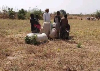 Bandits allegedly demanded N56m to allow farming this year in Zamfara community – Farmers