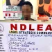 NDLEA arrests widow ‘attempting to traffic cocaine with fake pregnancy’ in Lagos