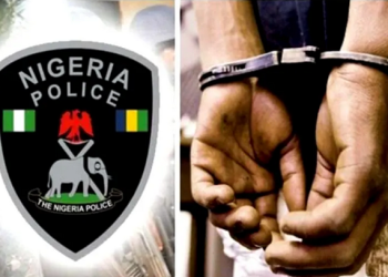 Police arrest four as newborn baby disappears in Ekiti hospital