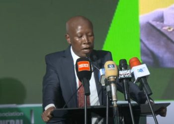 African Nations Must Regulate ‘Debt Trap’ Loans From World Bank, IMF — Malema
