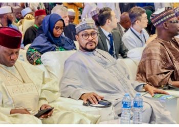 Security, Economic Crisis: Northern Govs Must Speak With One Voice — Dauda Lawal