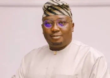 FG to revoke licences of underperforming DisCos in 2028 – Adelabu