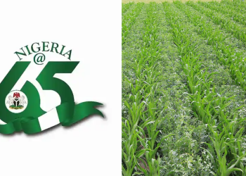 Nigeria@65: Farmers hail FG’s efforts in stabilising food prices, seek more workable policies