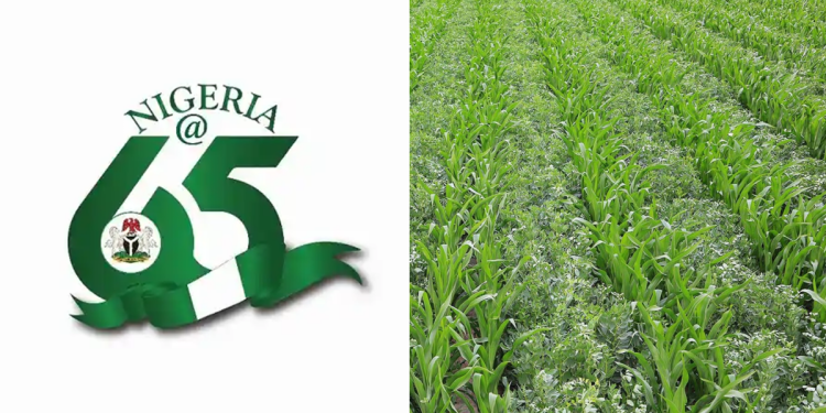 Nigeria@65: Farmers hail FG’s efforts in stabilising food prices, seek more workable policies