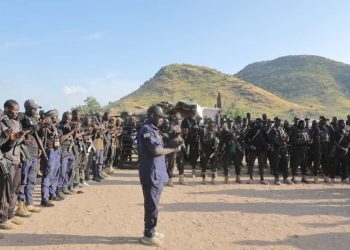 Zulum mobilises fighters as Cameroonian troops withdraw from Borno town