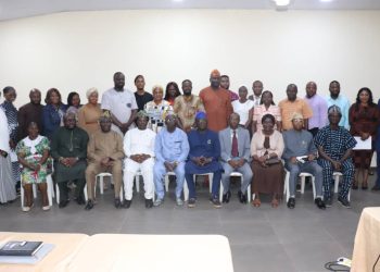 Ogun Inaugurates Health Systems Sustainability Task Force