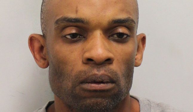 Pregnant woman dies after being stabbed 19 times by abusive boyfriend