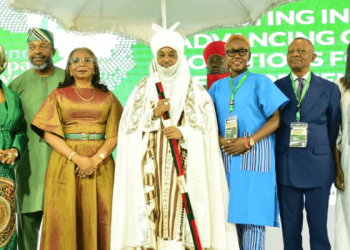 Publish data on loans to women-led businesses – Sanusi challenges Banks