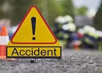 37 die after bus plunges into gully