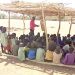 Abductions: Education faces more setbacks in Northern Nigeria – Amnesty Int’l