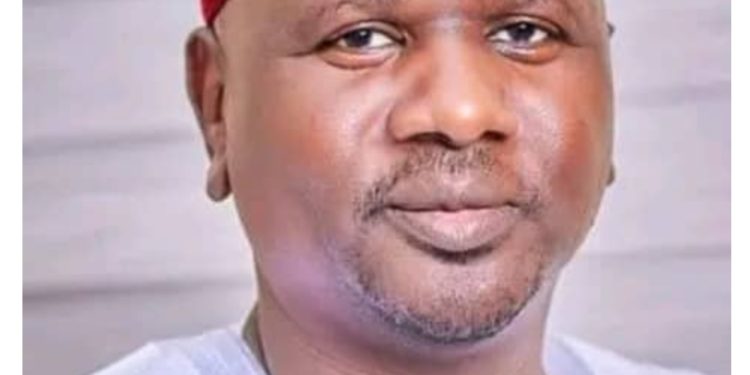 Abiya emerges acting NNPP state chairman in Kano