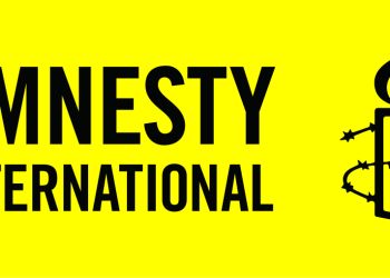 Over 2,500 killed, 29,554 displaced in Plateau in six months – Amnesty International