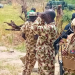 Troops Kill 17 Terrorists In Borno
