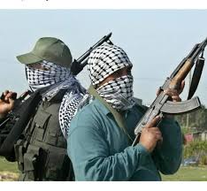 28 travellers kidnapped in Plateau community