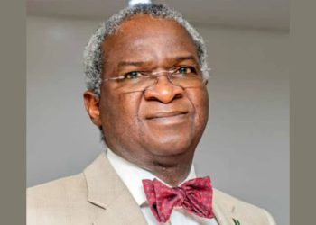 Visa Restrictions: Nigeria should assert its position, not beg, says Fashola