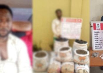 Wanted Drug Suspect ‘Kanmo-Kanmo’ Arrested 12 Years After Alleged Killing Of Three NDLEA Officers