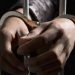 23-year-old jailed after stealing police vehicle