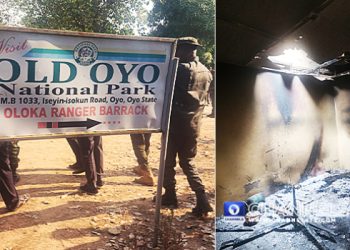 Five Feared Dead As Bandits Storm National Park Service Office In Oyo