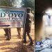 Five Feared Dead As Bandits Storm National Park Service Office In Oyo