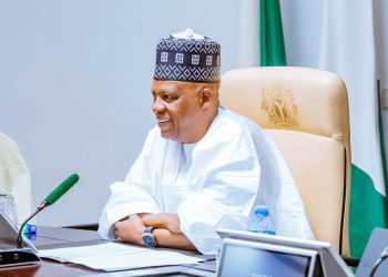Naira would’ve appreciated to N1,000/$ in weeks — but CBN intervened to ensure stability – Shettima