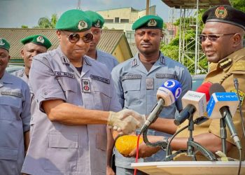 Suspected Smugglers Kill Customs Officer In Ogun