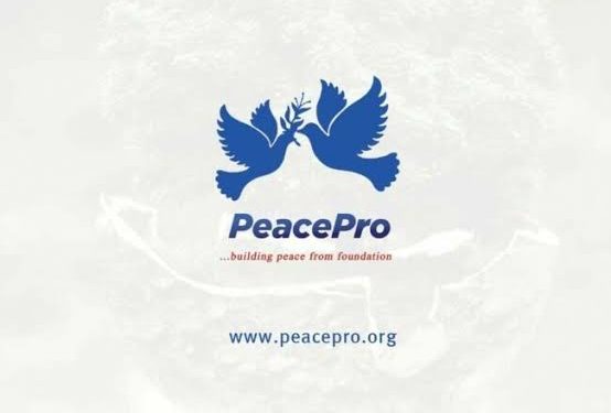 Nigeria’s Agriculture Sector Suffers ₦5 Trillion Capital Wipeout in Two Years — PeacePro