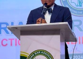 NBA President to Governors: Obey Supreme Court on LGA Funds or Undermine Democracy