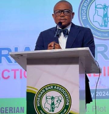 NBA President to Governors: Obey Supreme Court on LGA Funds or Undermine Democracy