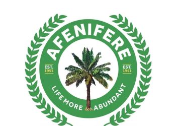 Kidnapping, Banditry Must Not Continue Over Fears of State Police Abuse — Afenifere