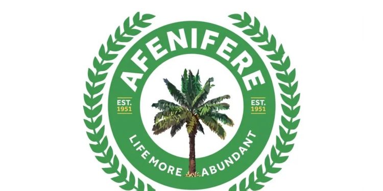 Kidnapping, Banditry Must Not Continue Over Fears of State Police Abuse — Afenifere