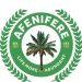 Kidnapping, Banditry Must Not Continue Over Fears of State Police Abuse — Afenifere