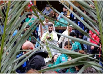 Christians Worldwide Mark Palm Sunday With Calls For Peace