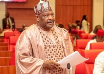 Insecurity: Senator Ningi calls for suspension of political activities