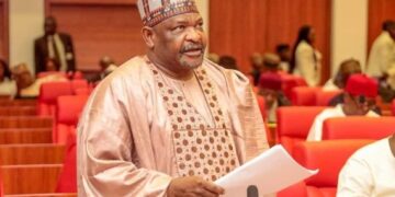 Insecurity: Senator Ningi calls for suspension of political activities