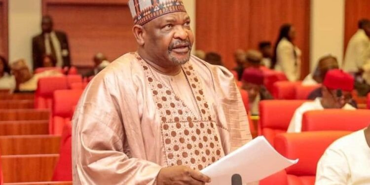 Insecurity: Senator Ningi calls for suspension of political activities