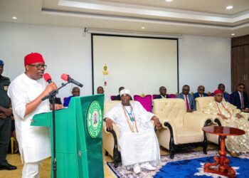 Fubara backs Tinubu’s re-election, says ‘Nigeria in capable hands‘