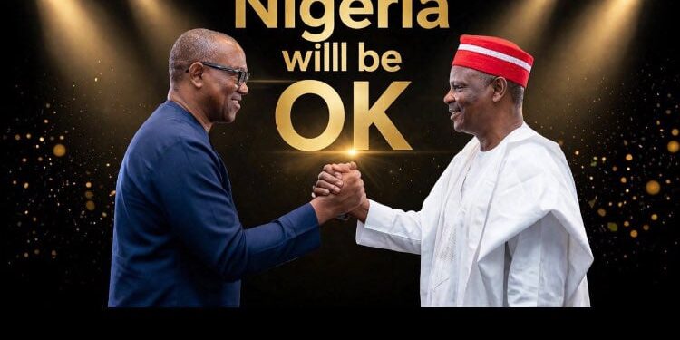 NDC woos Obi, Kwankwaso with presidential ticket ahead of primary deadline