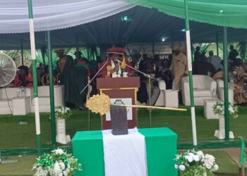 Graduates Must Drive Solutions, Says Education Minister at Ilaro Convocation