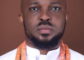 ‘Ex-Obidient movement member’ alleges Peter Obi admitted losing 2023 election