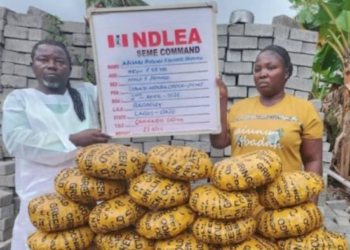 NDLEA arrests pastor, wife with ’11kg skunk’ concealed in vehicle at Seme border