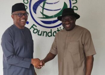 2027: Peter Obi, South East leaders meet Jonathan in Abuja