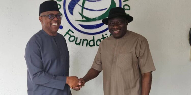 2027: Peter Obi, South East leaders meet Jonathan in Abuja