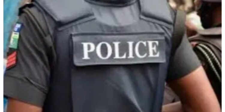 Police Arrest 30 Suspected Kidnappers, Recover Firearms In Kaduna