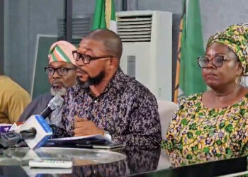 ADC: Kachikwu-Led Group Announces National Convention, Plans Interim Leadership