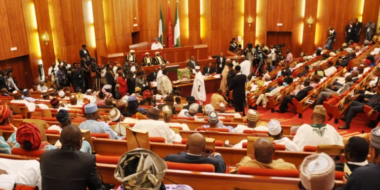 Senate targets $2bn rice import bill with sweeping agro reforms