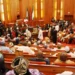 Senate targets $2bn rice import bill with sweeping agro reforms