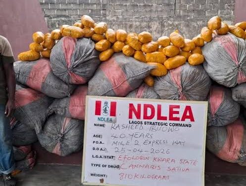 NDLEA Intercepts Terror Drug ‘Captagon’ in Kwara as Bizman Excretes 45 Cocaine Wraps