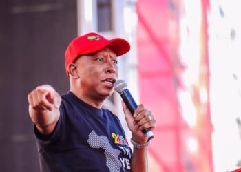 How many jobs have you created?’ — Julius Malema tackles South Africans who engage in xenophobic attacks