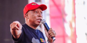 How many jobs have you created?’ — Julius Malema tackles South Africans who engage in xenophobic attacks